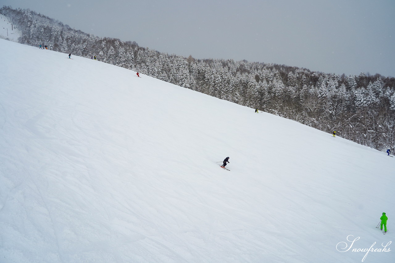 士別市日向スキー場 2019年12月8日現在『日本最北』のゲレンデは、ふかふかパウダースノーの宝庫でした☆